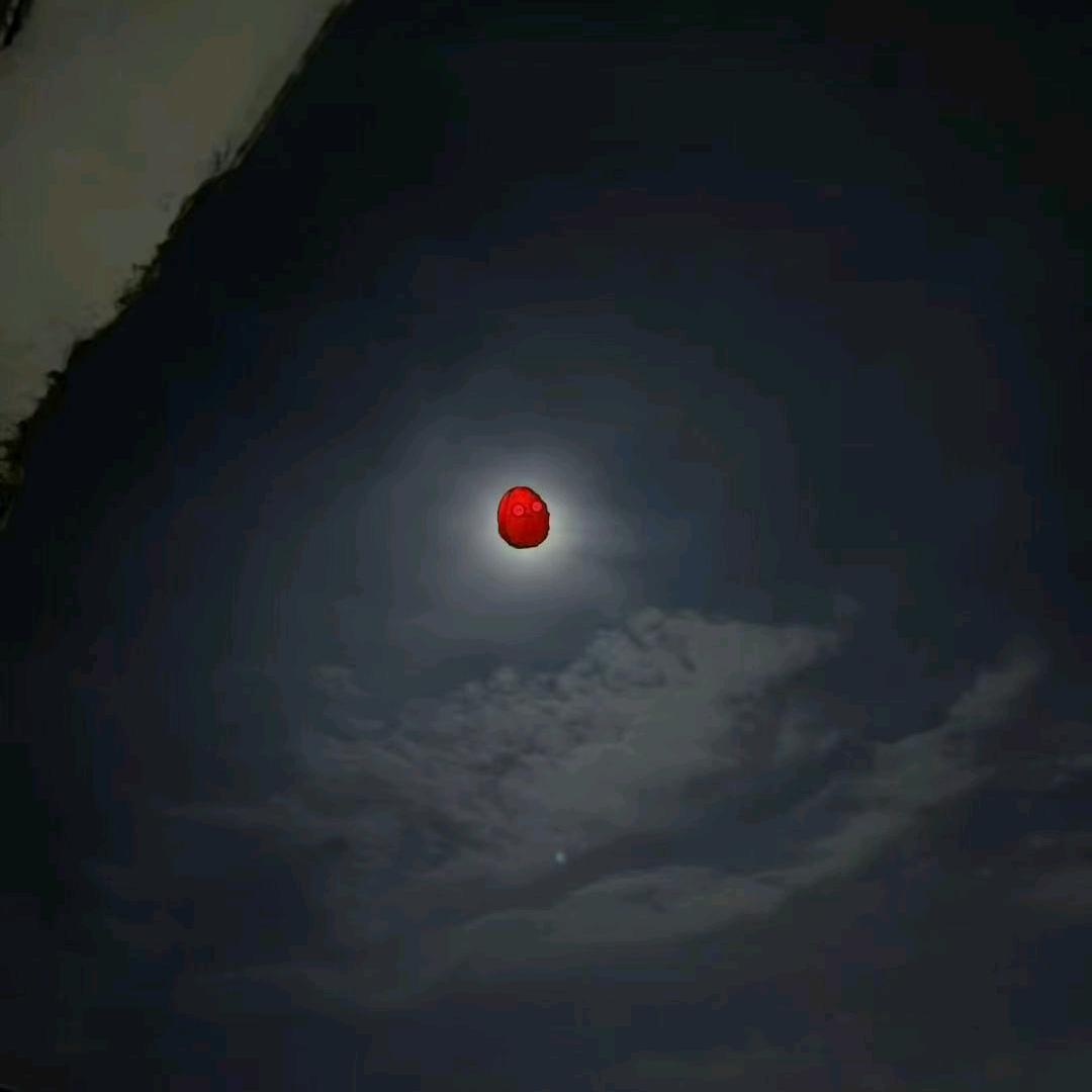 不会再喝酒了