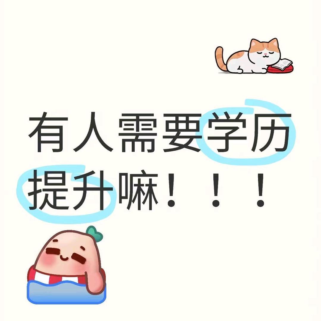 正通人力新媒体王老师