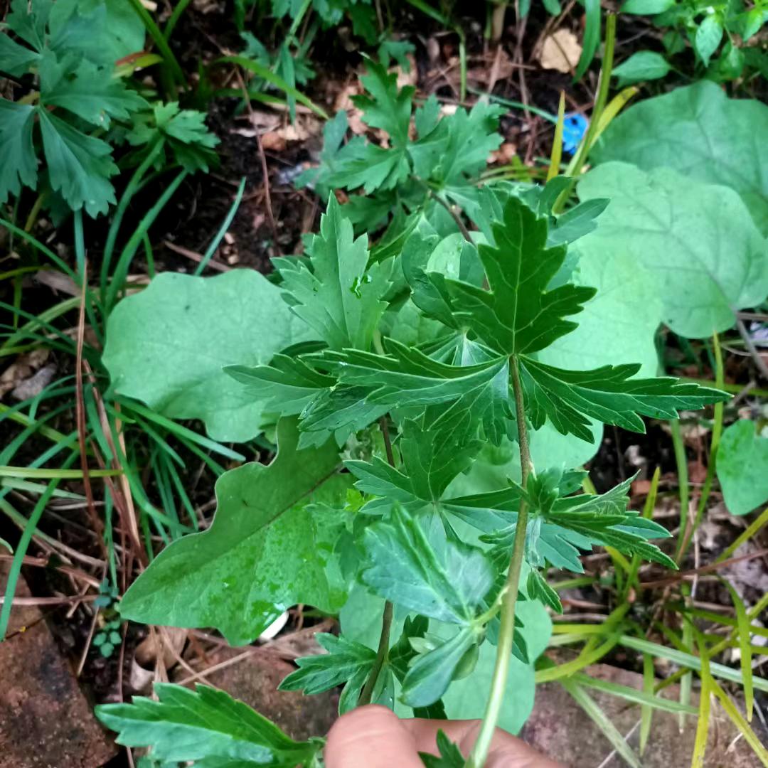 爱过❤️恨过💔懂过💝💘