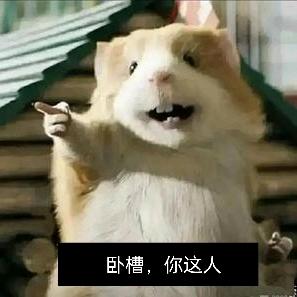 无所屌谓、