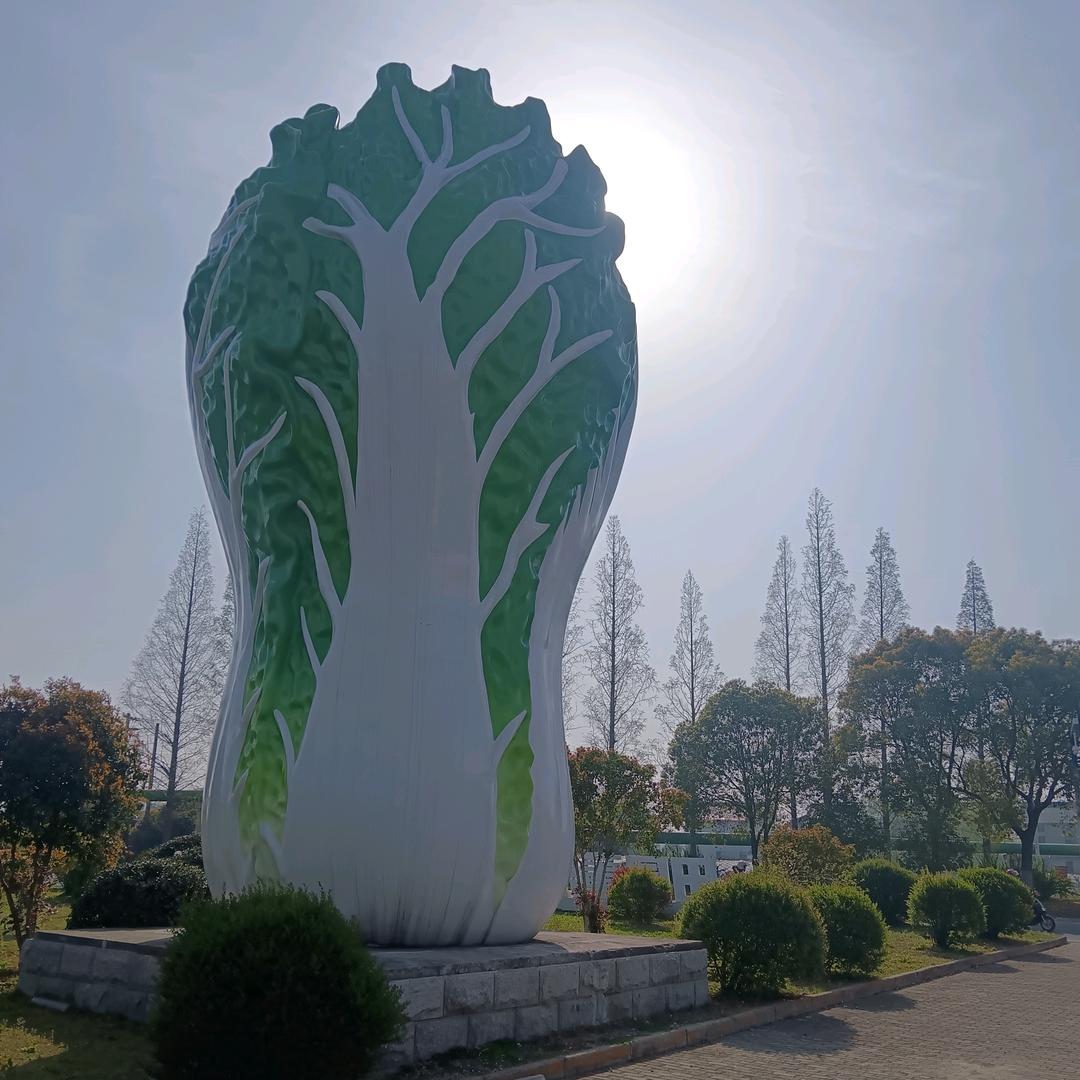 温情的狼