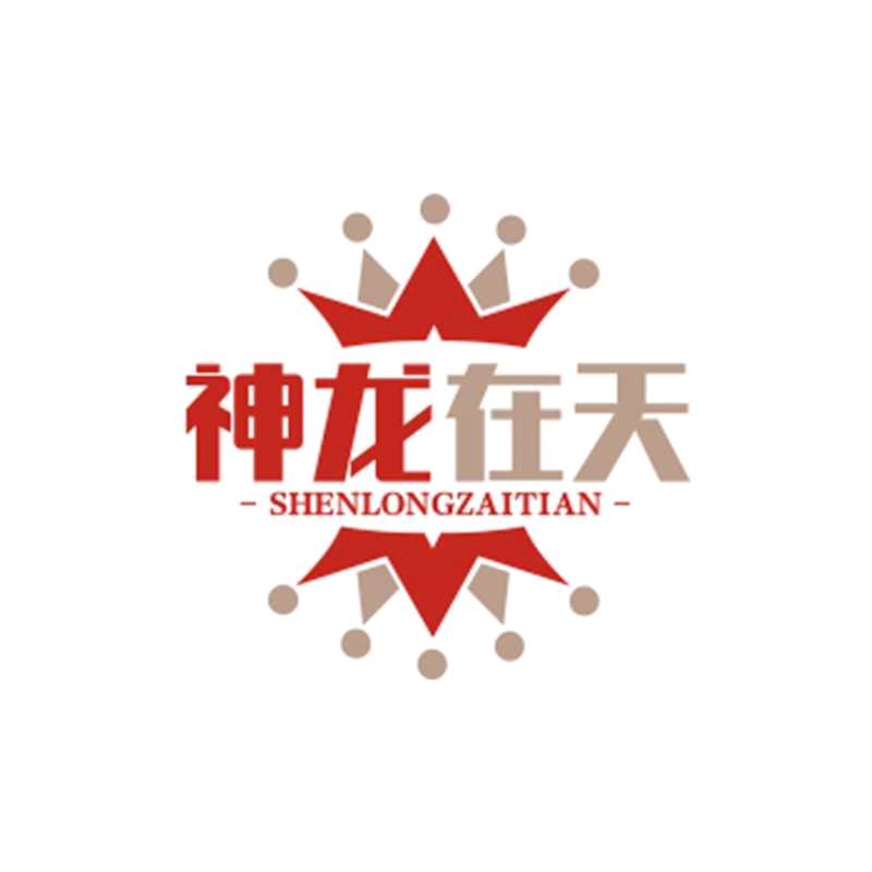 神龙在天
