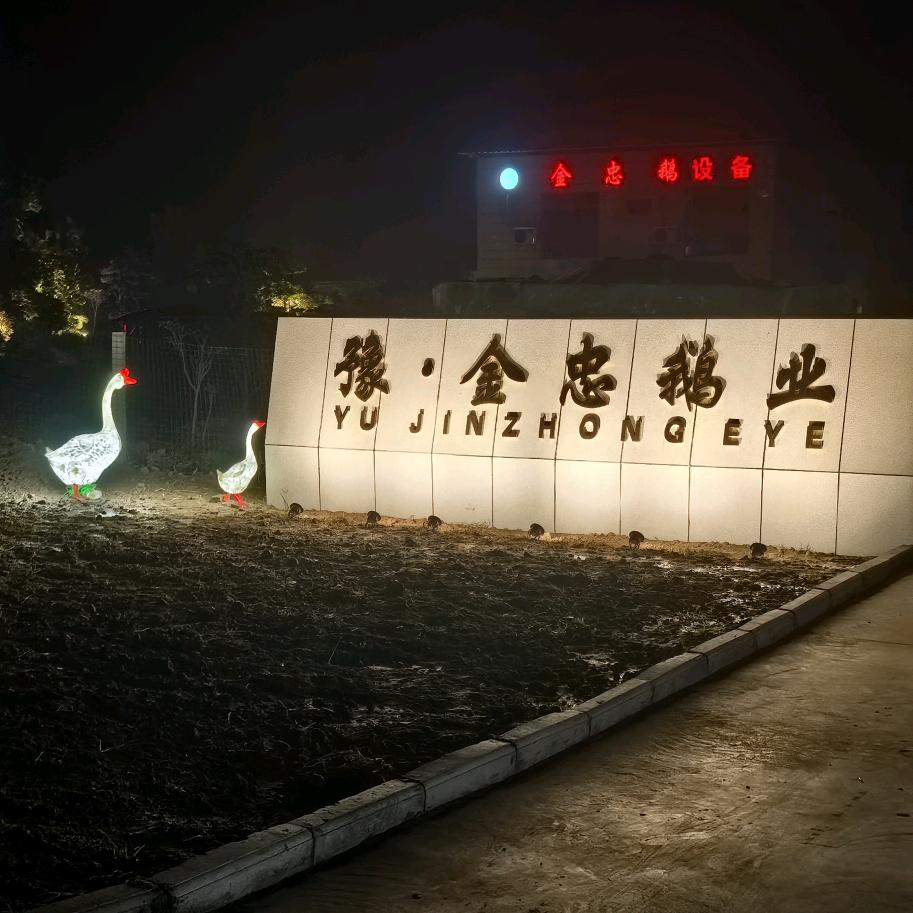 金忠鹅业优品