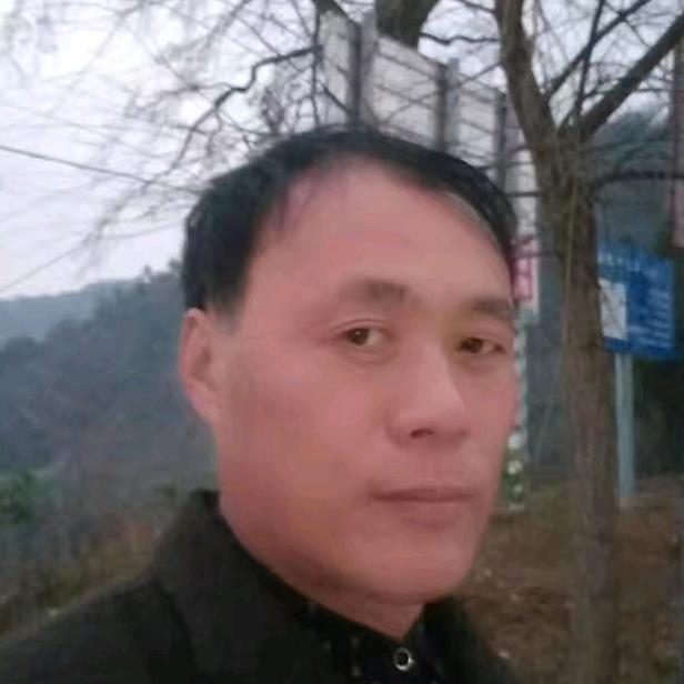 风中沙