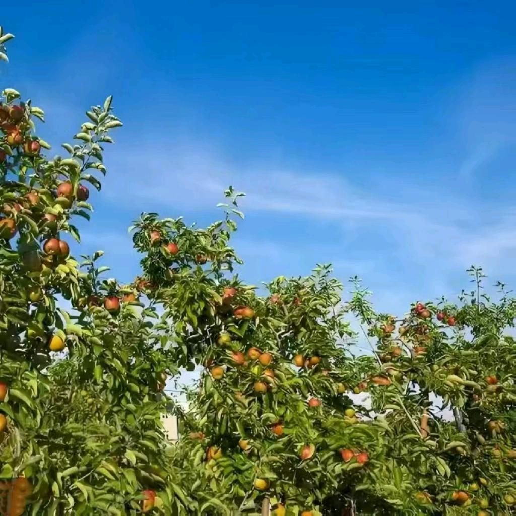 闻融敦厚（德福）