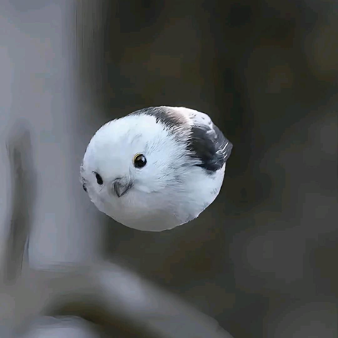 w..