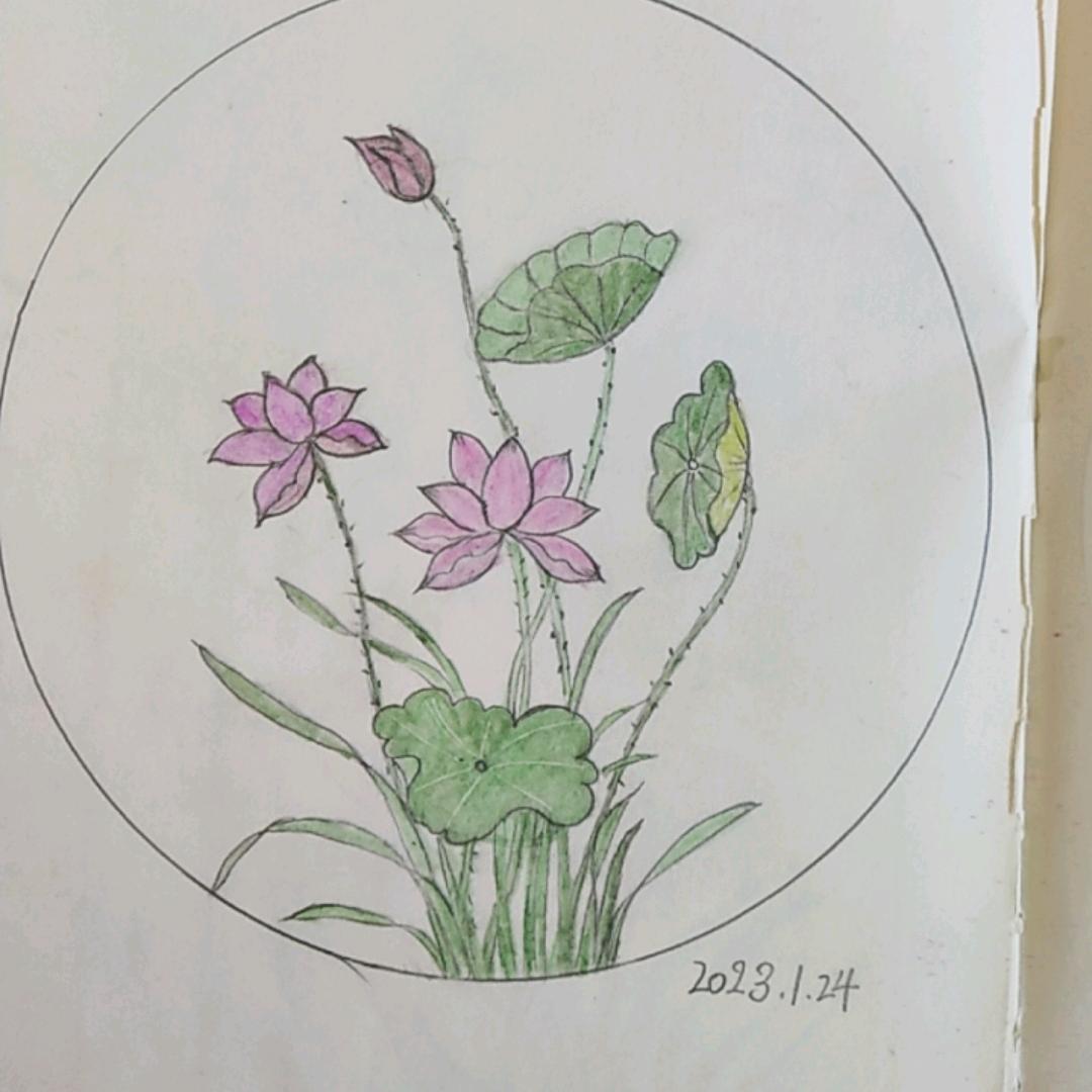 清雅(拒绝私聊:)