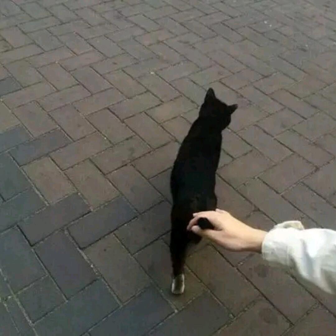 7987