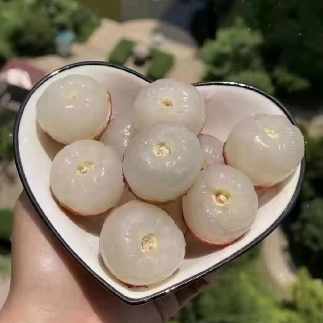 越南水果代购批发