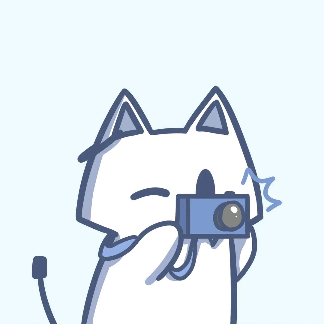 啾咪散猫猫
