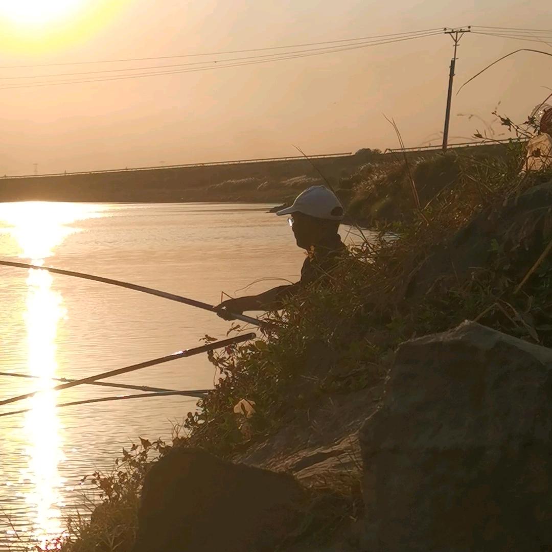 野钓菜鸟【老李】