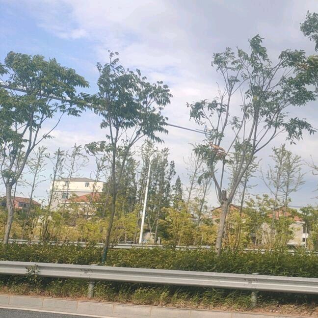 天天👻