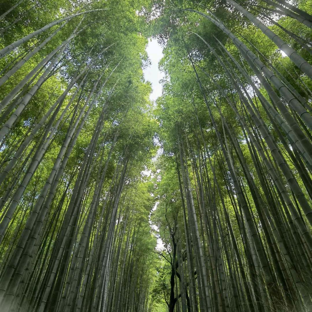 米特（天津）供应链