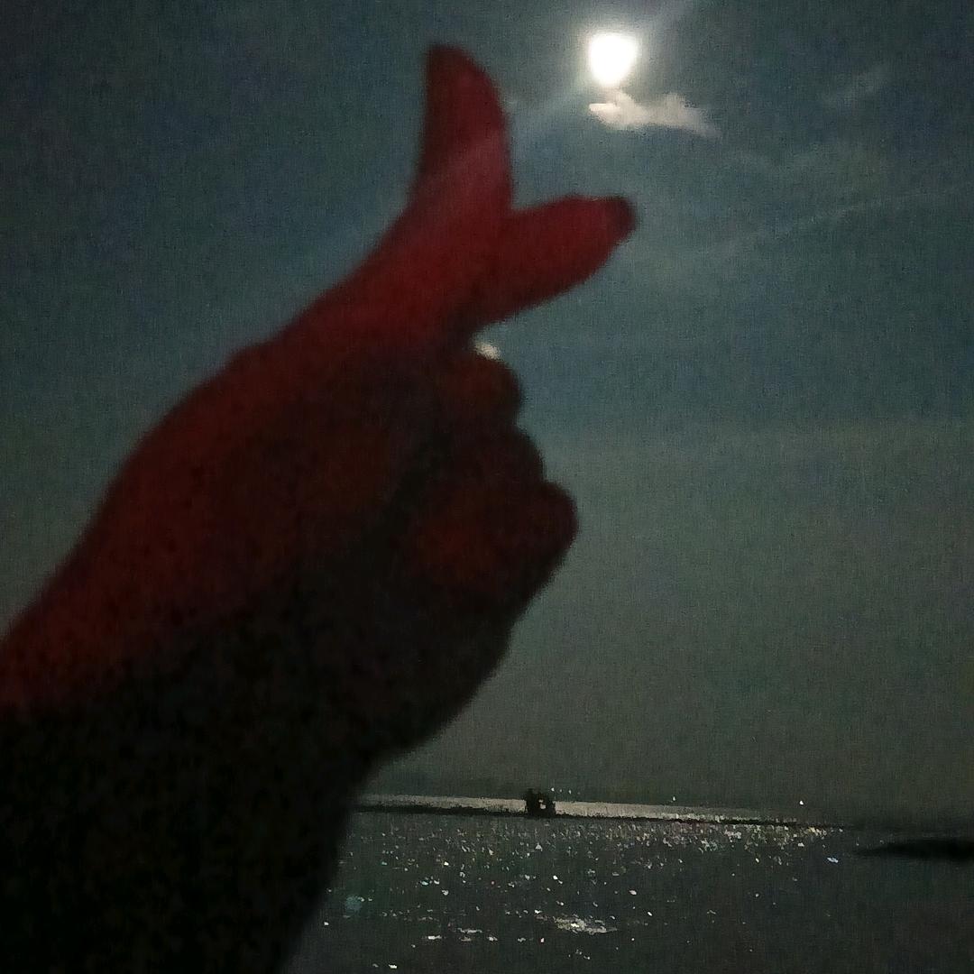 ⭐️⭐️杨家二姐