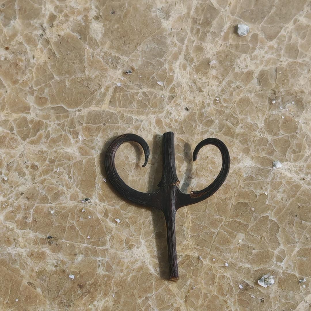 哈哈哈哈哈又活一天