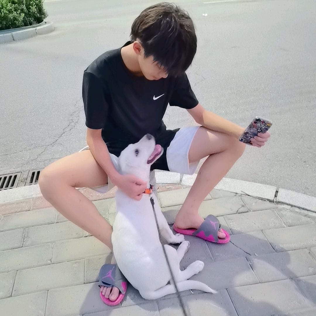 木子爱追剧