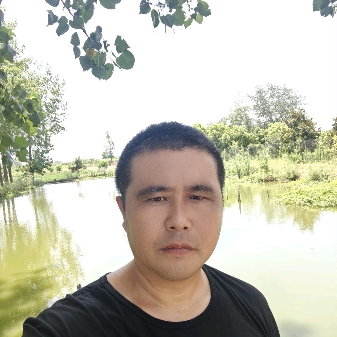 大兄弟，，，，，。龙虾苗