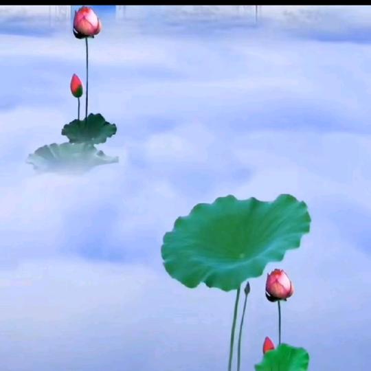 丙火