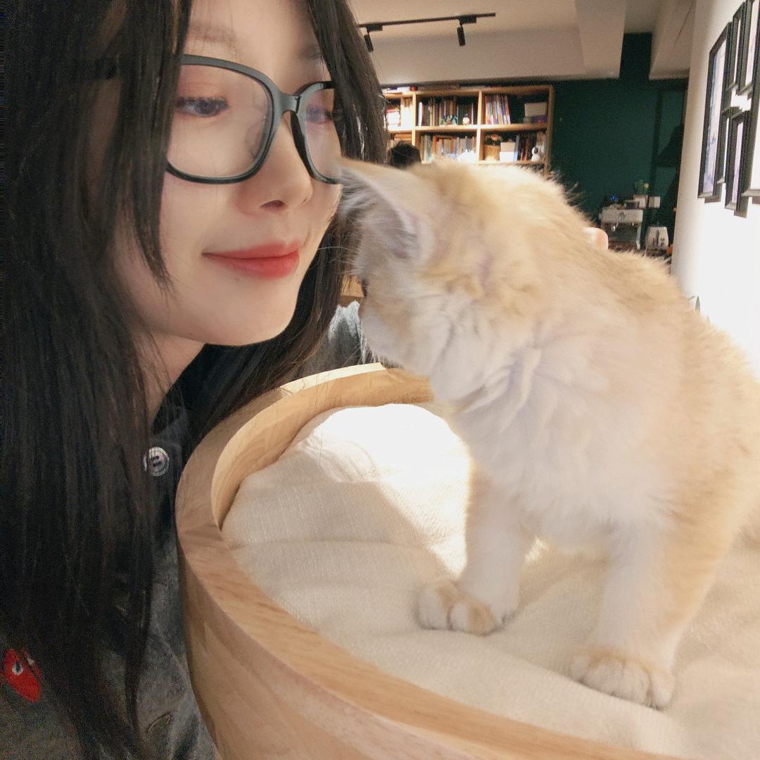 ～杨杨～