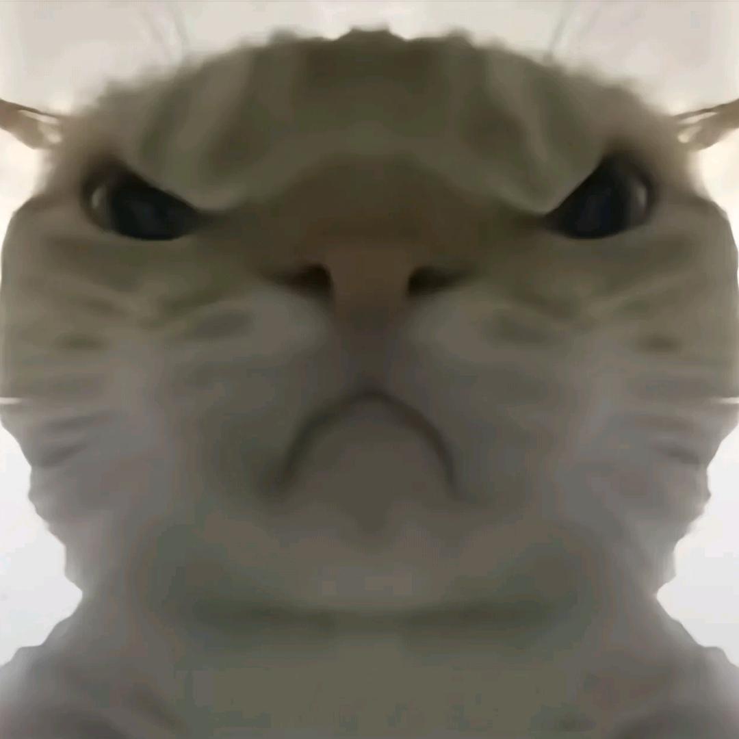 南北路不多，哈基不哈皮