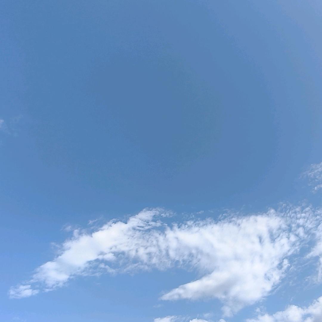 兜里有糖