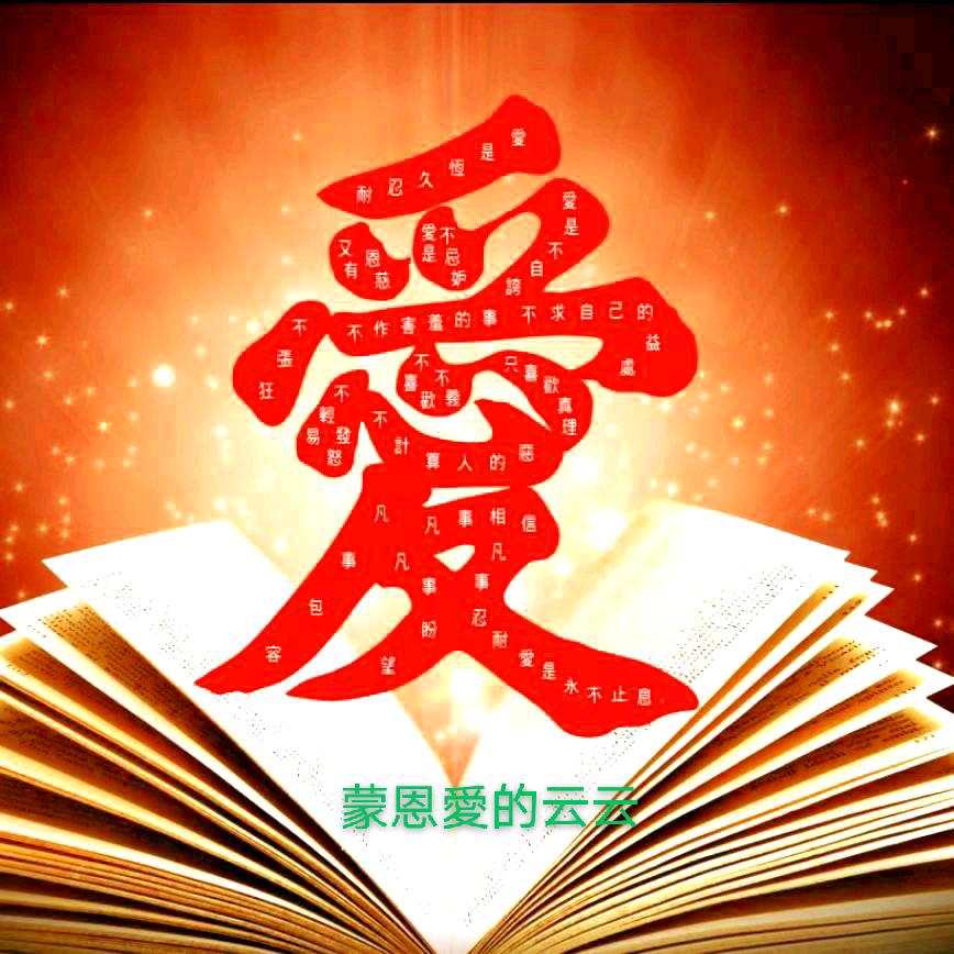 lfy8030203