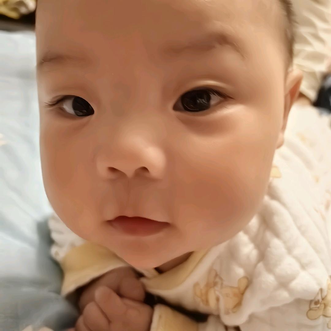 小脐橙