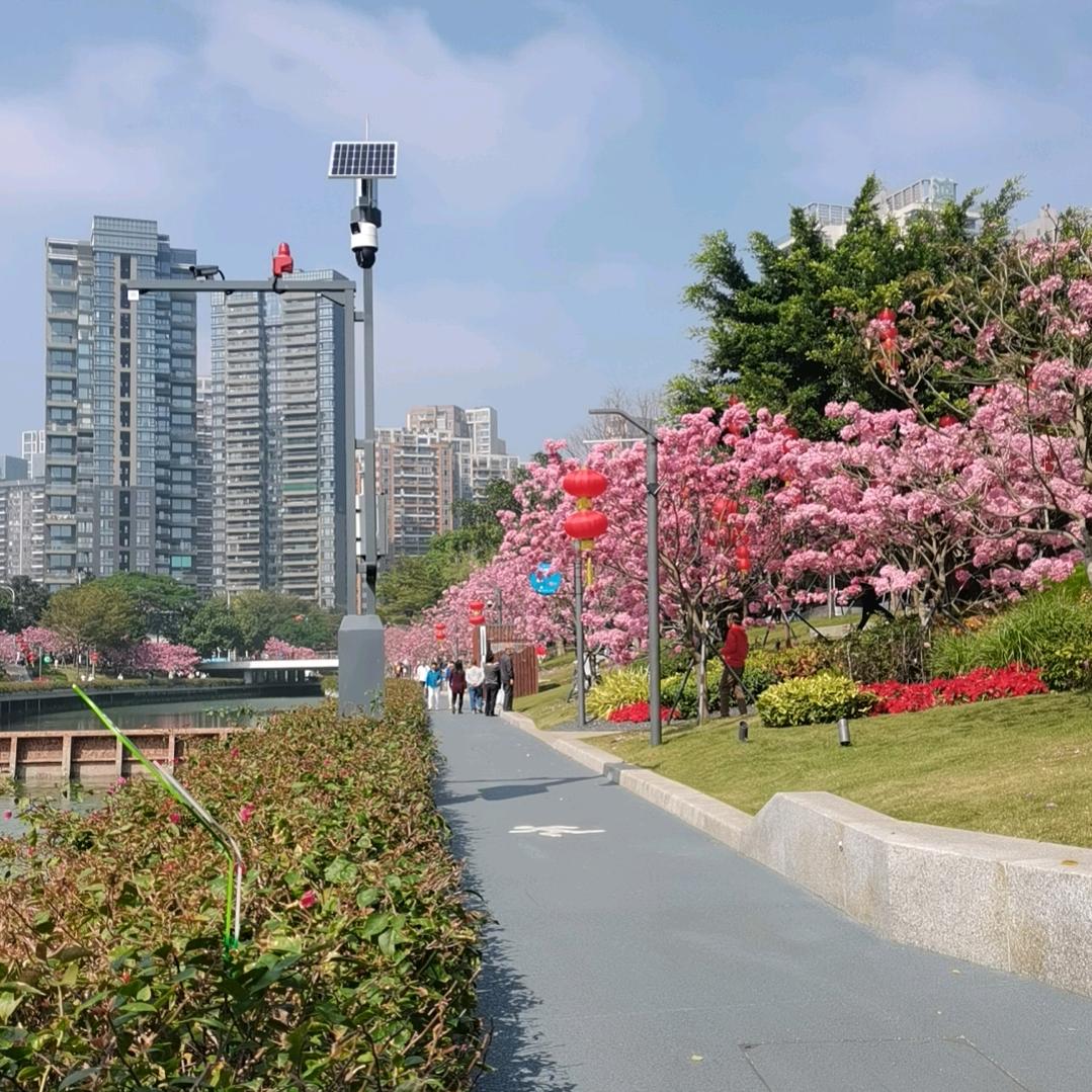 斗志昂扬