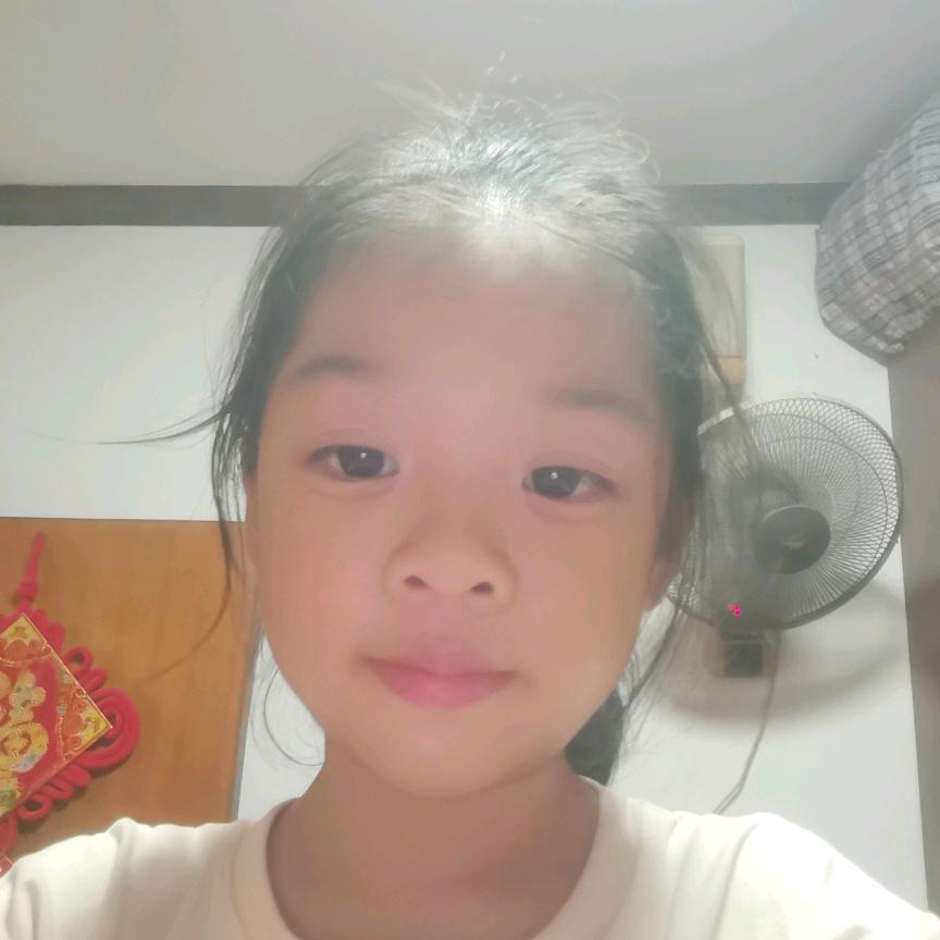 小海鸥