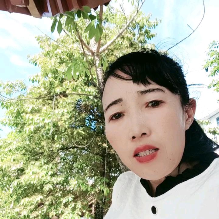 桶桶夫人🌹🌞