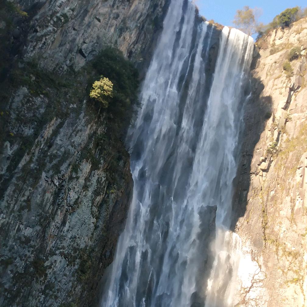 红玫瑰🌹🌹🌹