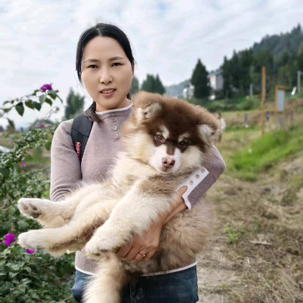 我的人生必有你