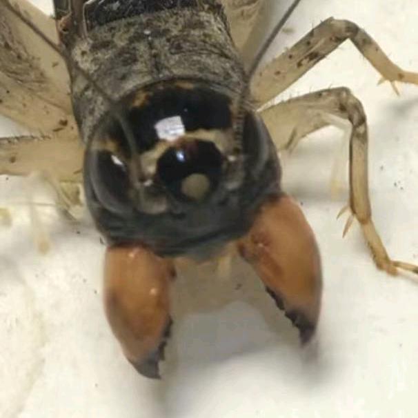 王为一的优品小铺