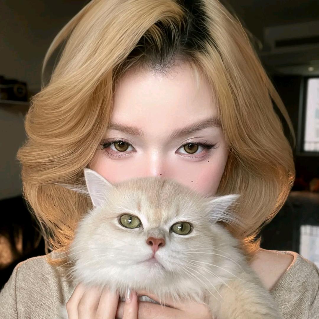 天才小猫