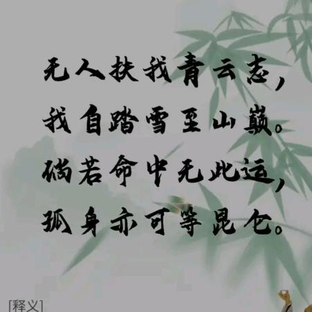青云志
