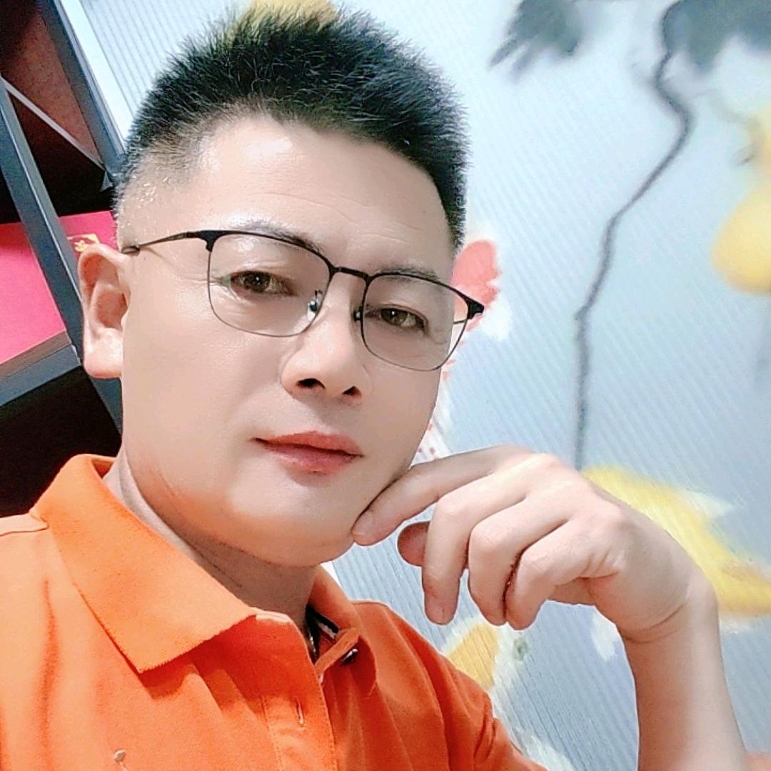 鸿雁高飛