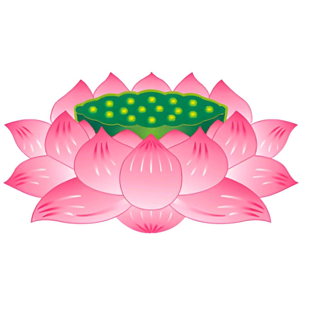 有缘佛来聚