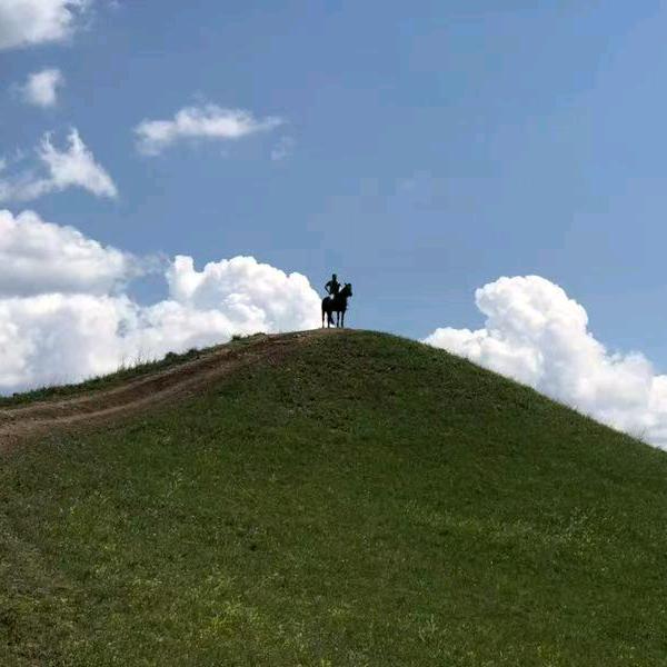 鑫🐴🐴🐴