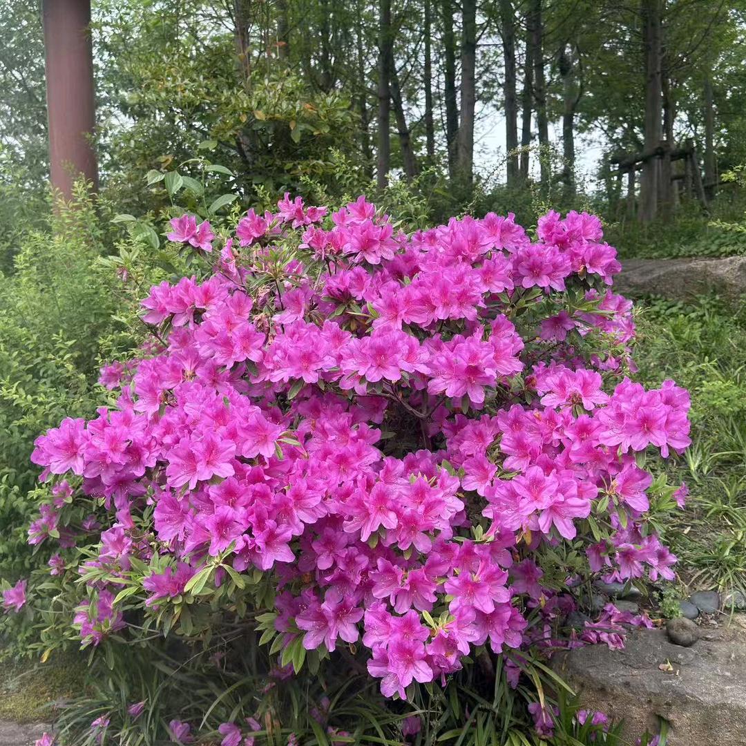 ______（广告位招商中）