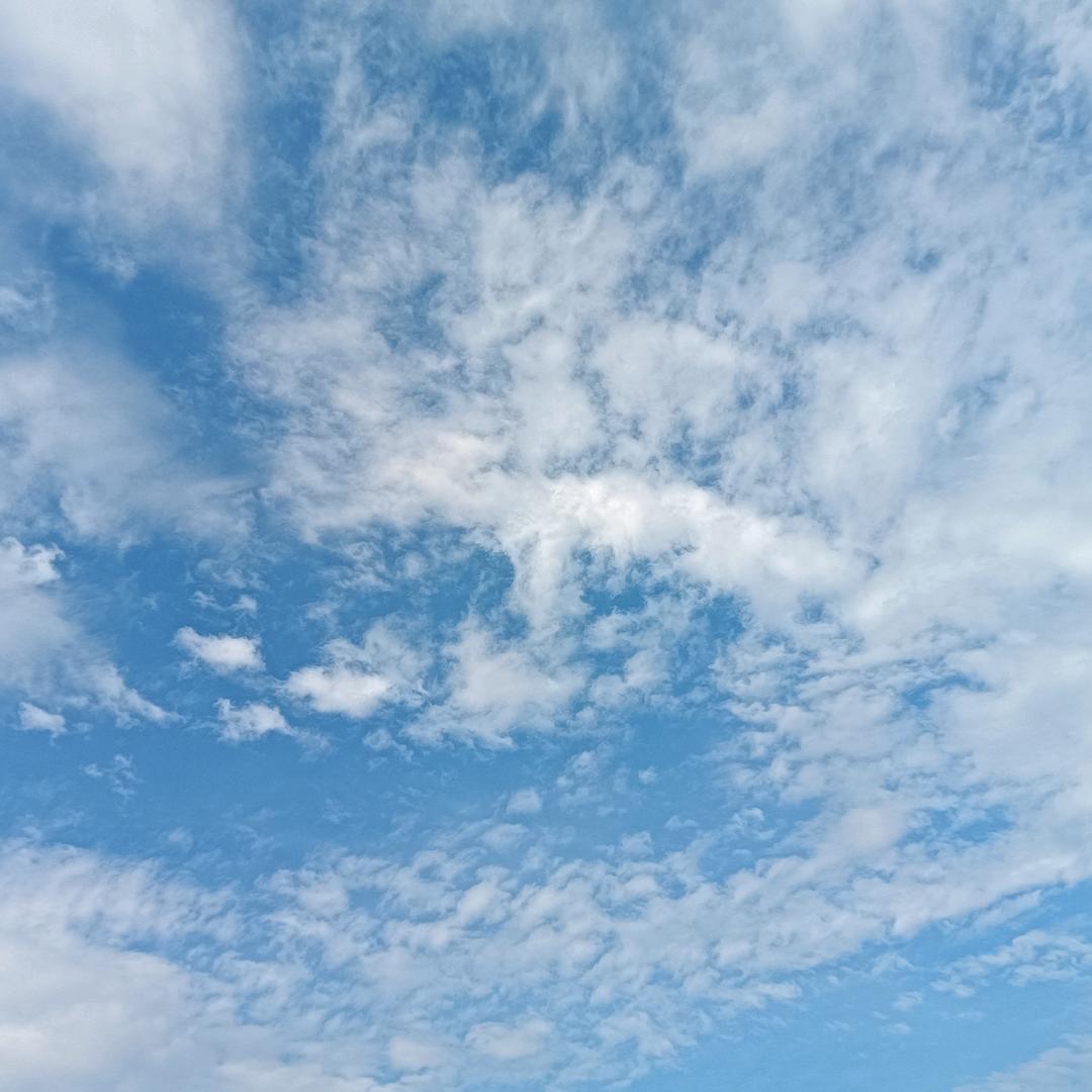 财运连连