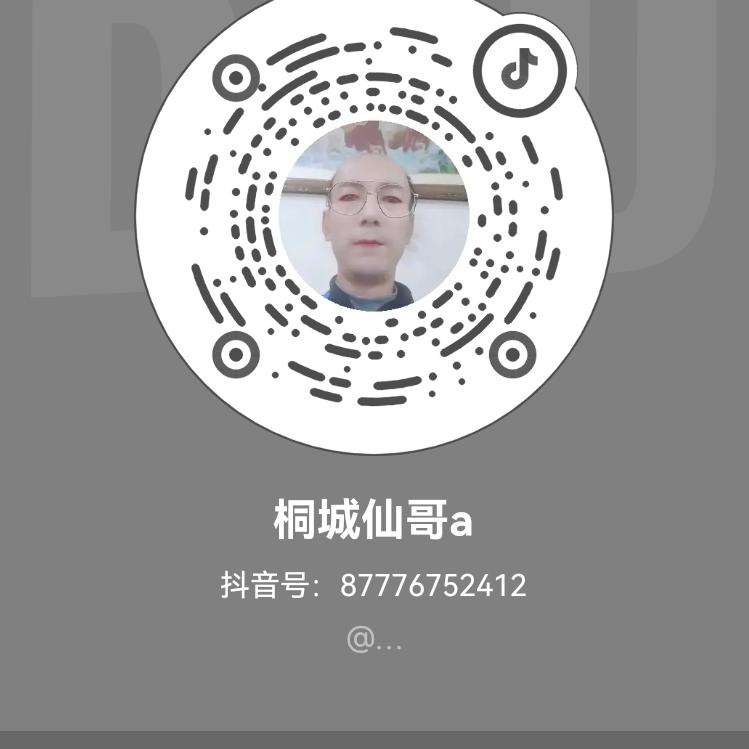 桐城仙哥a