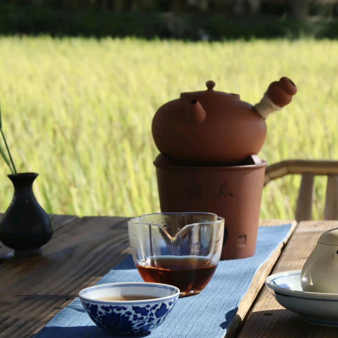 半盏清茶