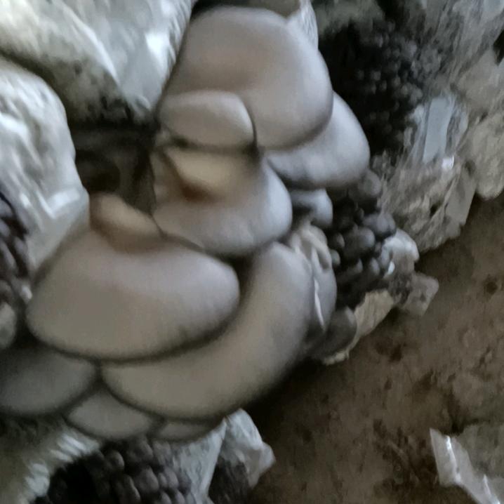 大门翻新，彩钢翻新