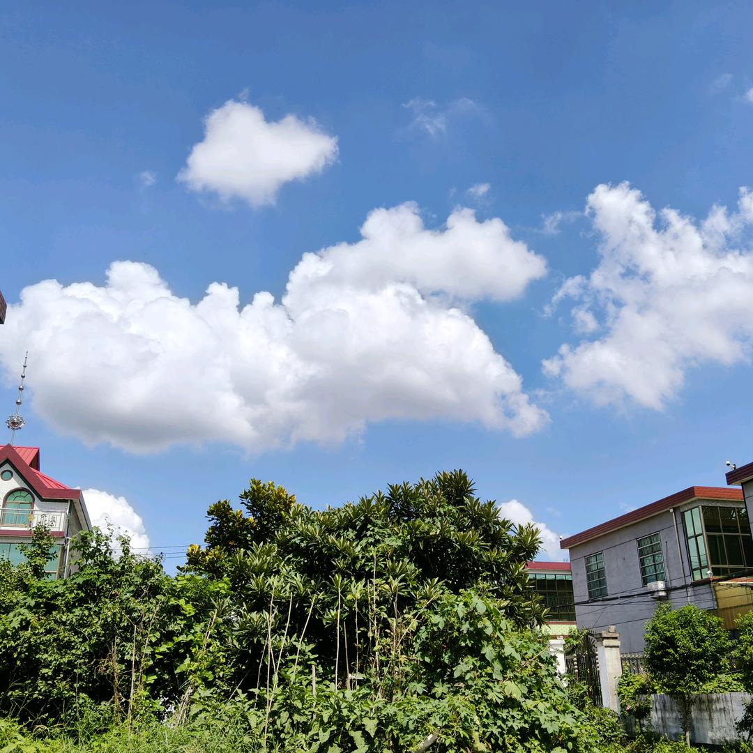 有缘千里来相会