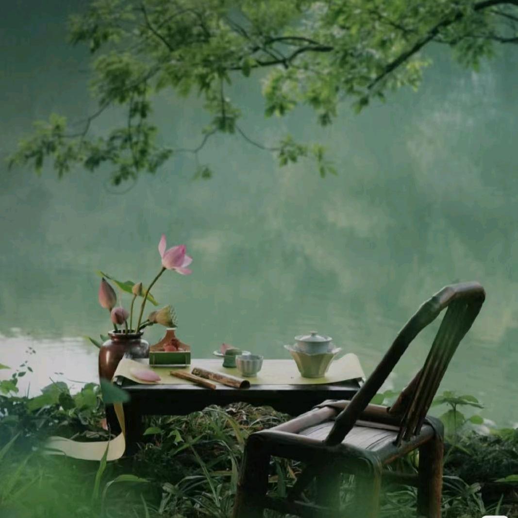 花开未全月未圆🍀