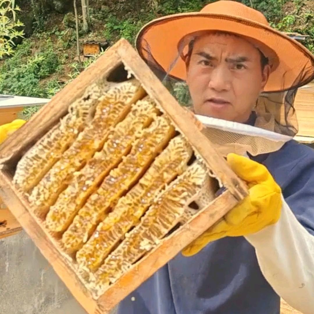 轻松养蜂蜂产品店