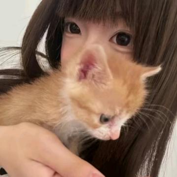 或许会