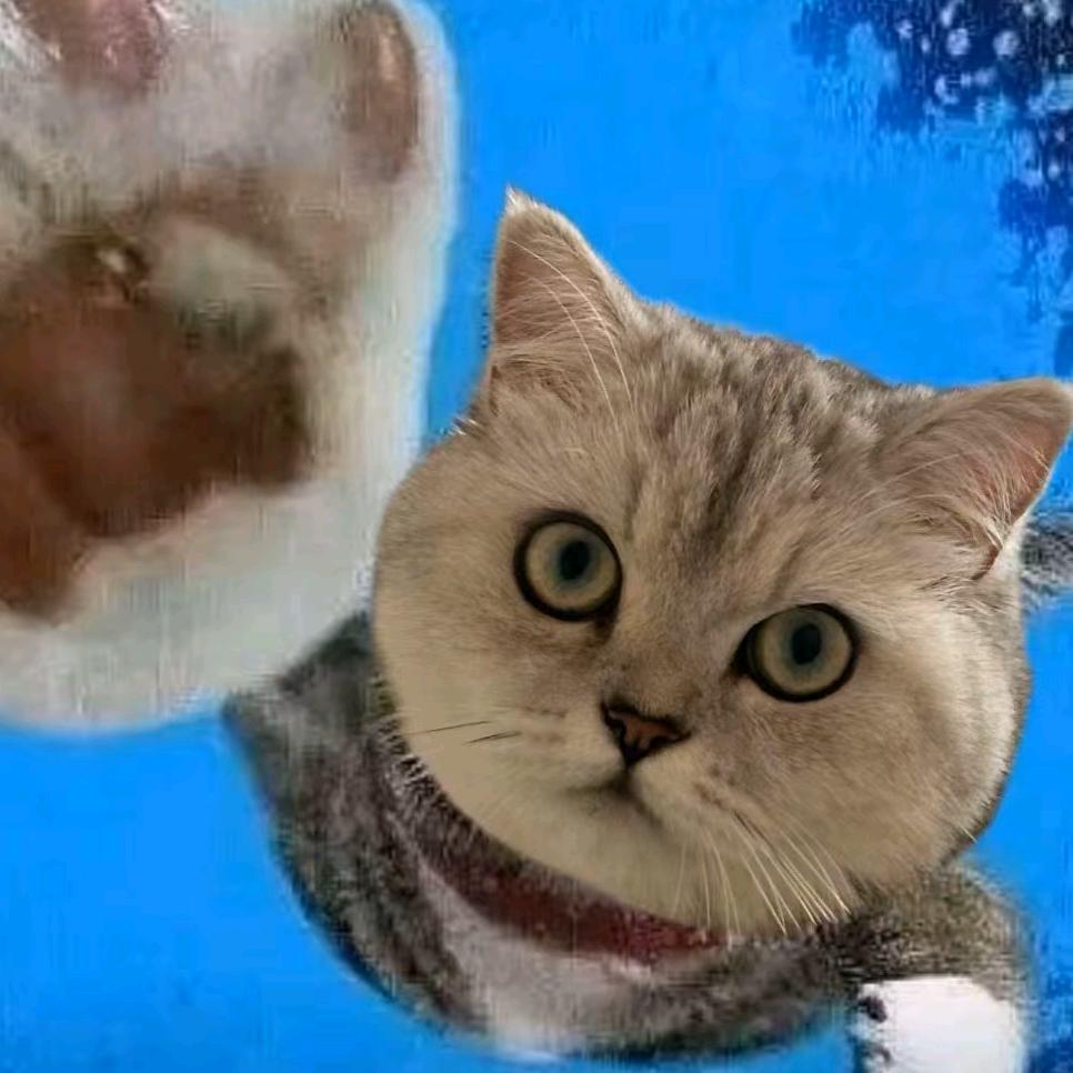 嗯哦