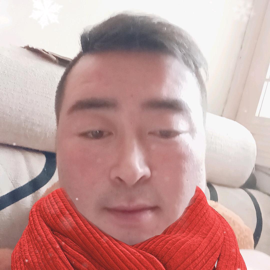 小灰灰