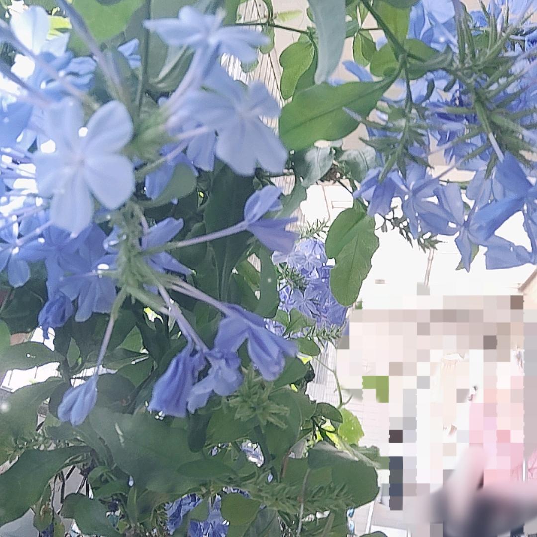 爱兰轩美容美发